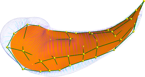 A dense sampling of a medial model of a healthy left caudate defined continuously using subdivision surfaces